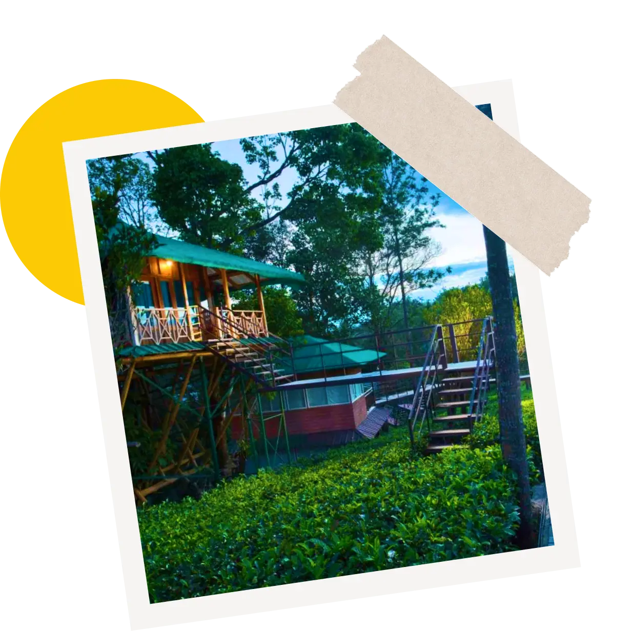 Nature & Plantation Resorts