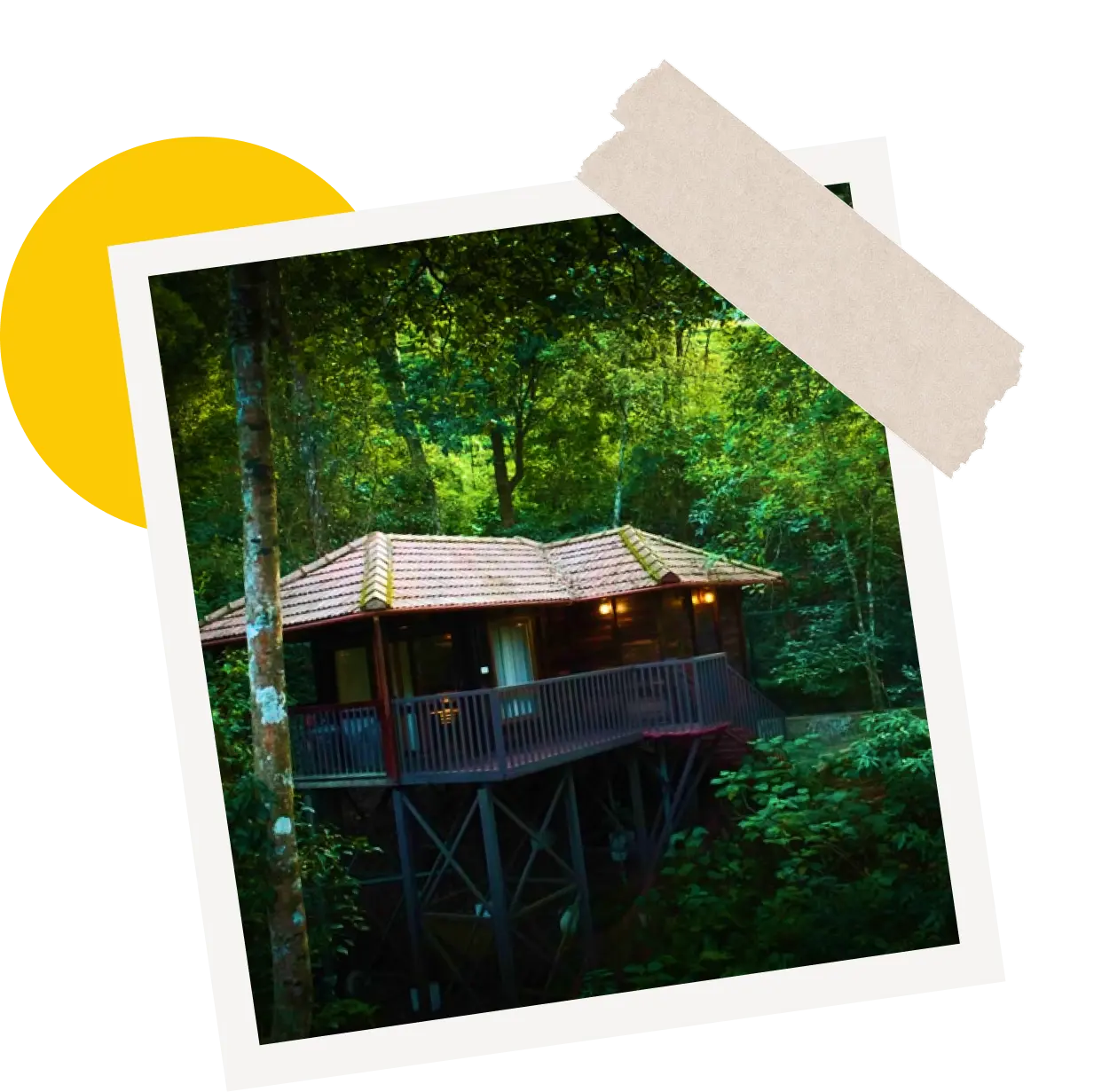 Nature & Wildlife Resorts